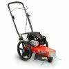 Briggs & Stratton DR Trimmer Mower TR4 7.25 FPT MS #TR45072BMN 2 Briggs & Stratton DR Trimmer Mower TR4 7.25 FPT MS #TR45072BMN -DR Power Equipment Shop TR45072BMN 1024x1024 1